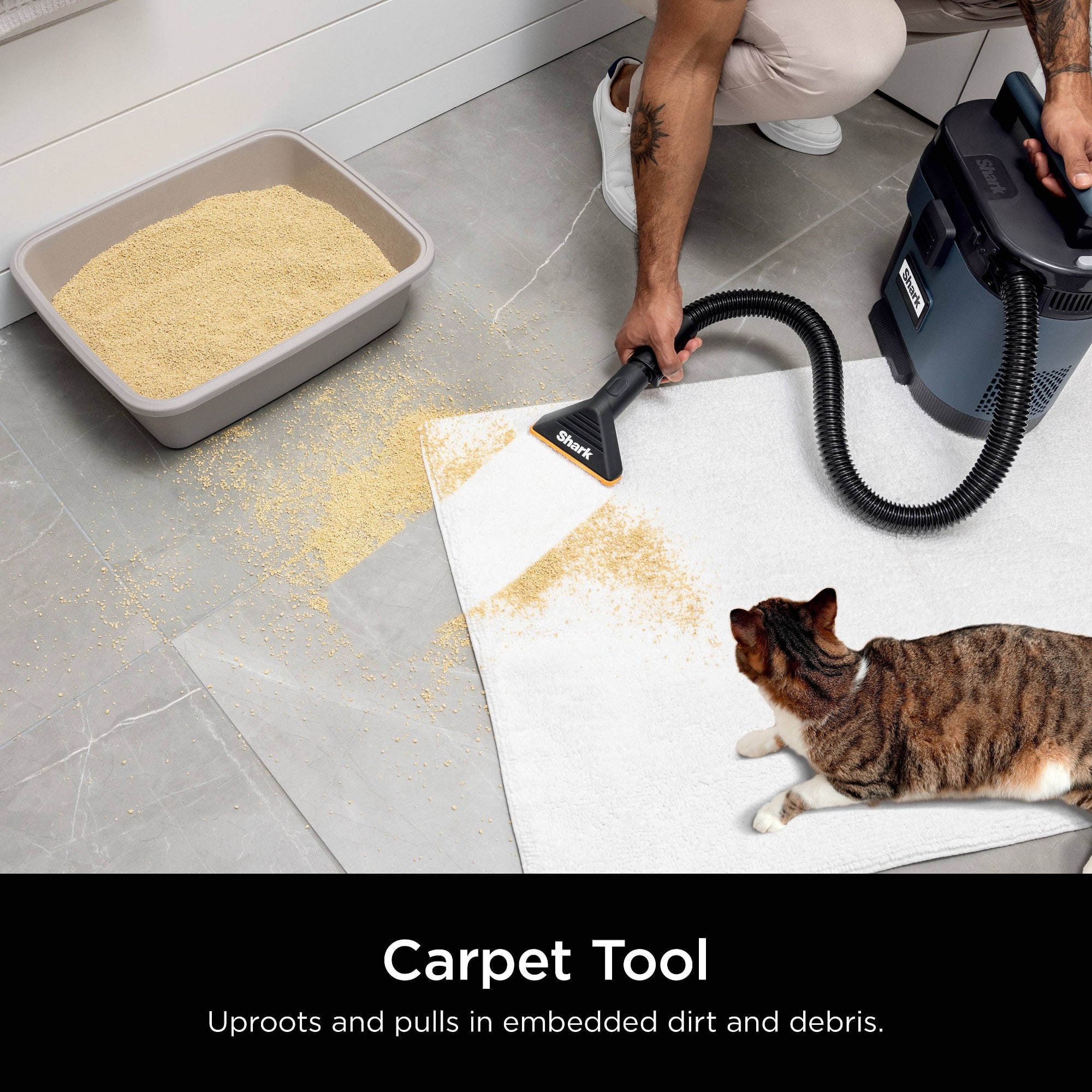 Carpet Tool: Uproots and pulls in embedded dirt and debris.