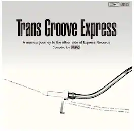 Trans Groove Express a Musical Journey to - Trans Groove Express A Musical Journey To The Other Side - VINYL LP