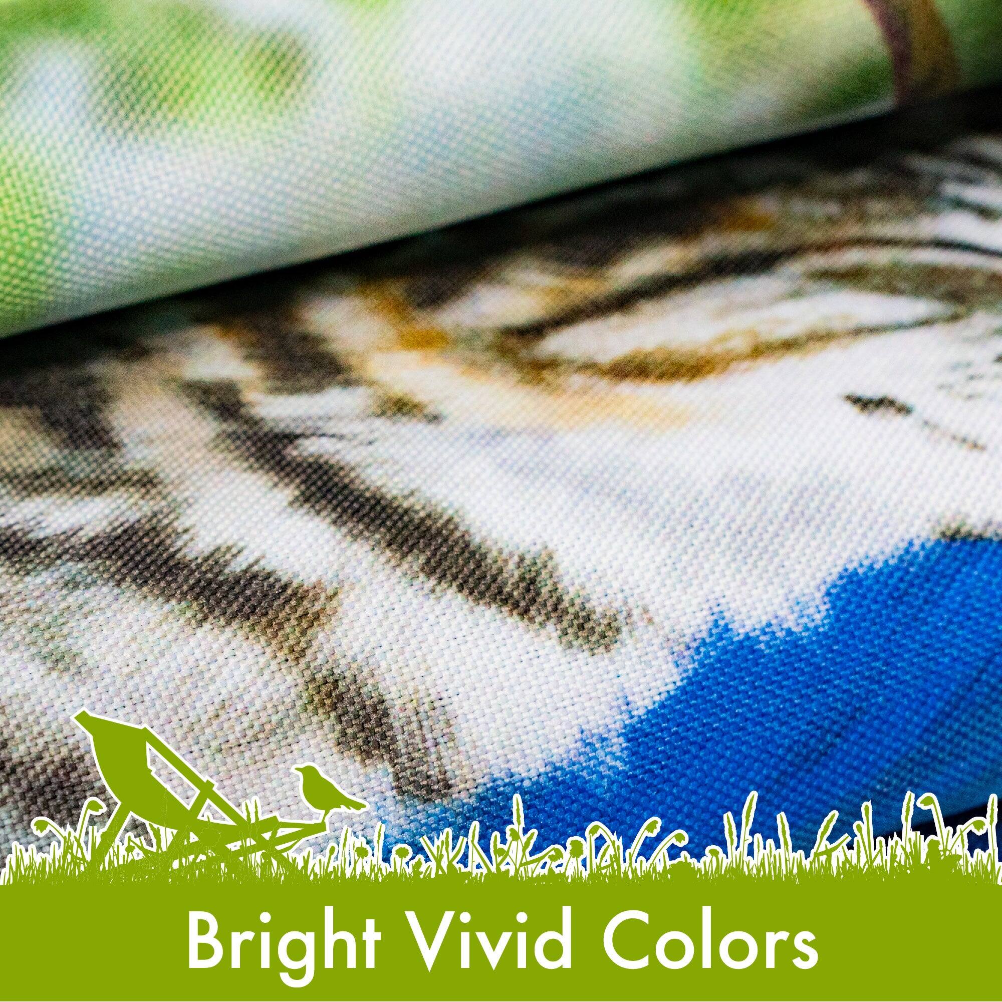 Bright Vivid Colors