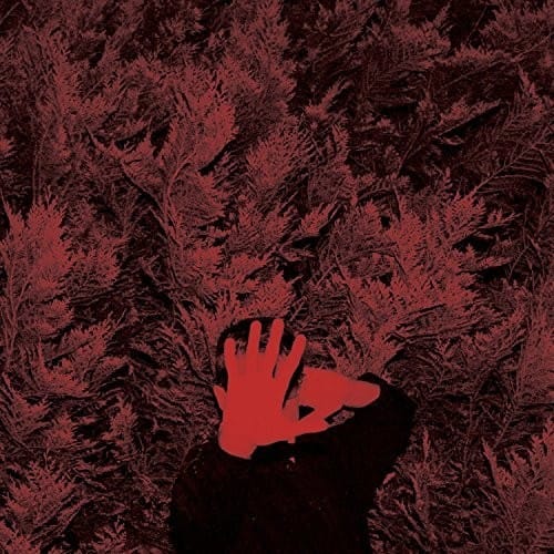 Cory Hanson - Unborn Capitalist From Limbo   - VINYL LP price history on PriceWatchPro