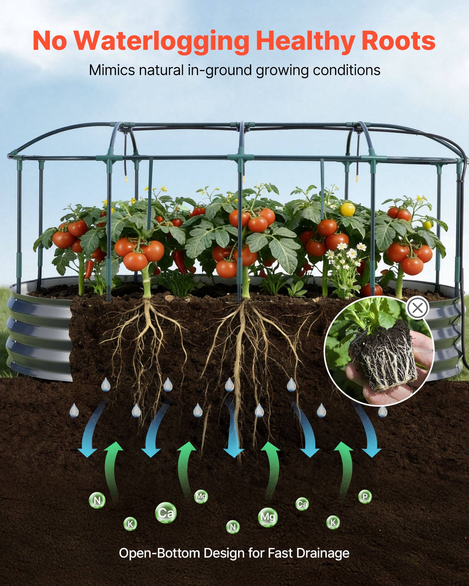 No Waterlogging Healthy Roots  
Mimics natural in-ground growing conditions  

Open-Bottom Design for Fast Drainage