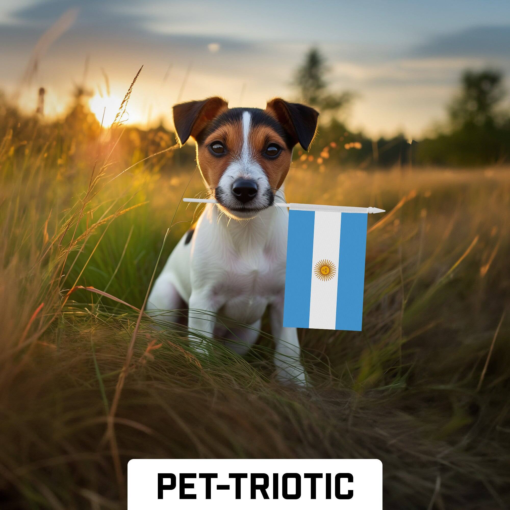 Alt View 3. G128 - 10-Pack 4 x 6 in Argentina Handheld Stick Flags - Blue and White.