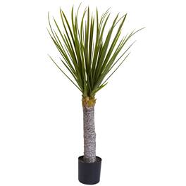 BreeBe - 3' Yucca w/699 Lvs - Green