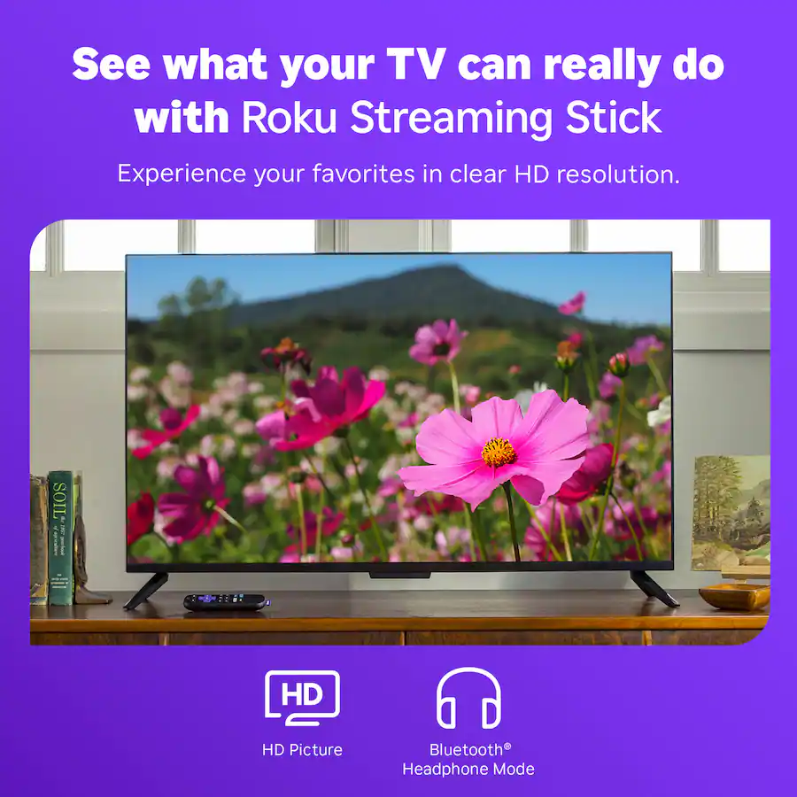 Roku - Streaming Stick 2025 - HD Streaming Device for TV with Voice Remote - Black