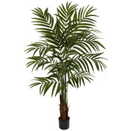 BreeBe - 5' Big Palm Tree x 3 w/270 Lvs - Green