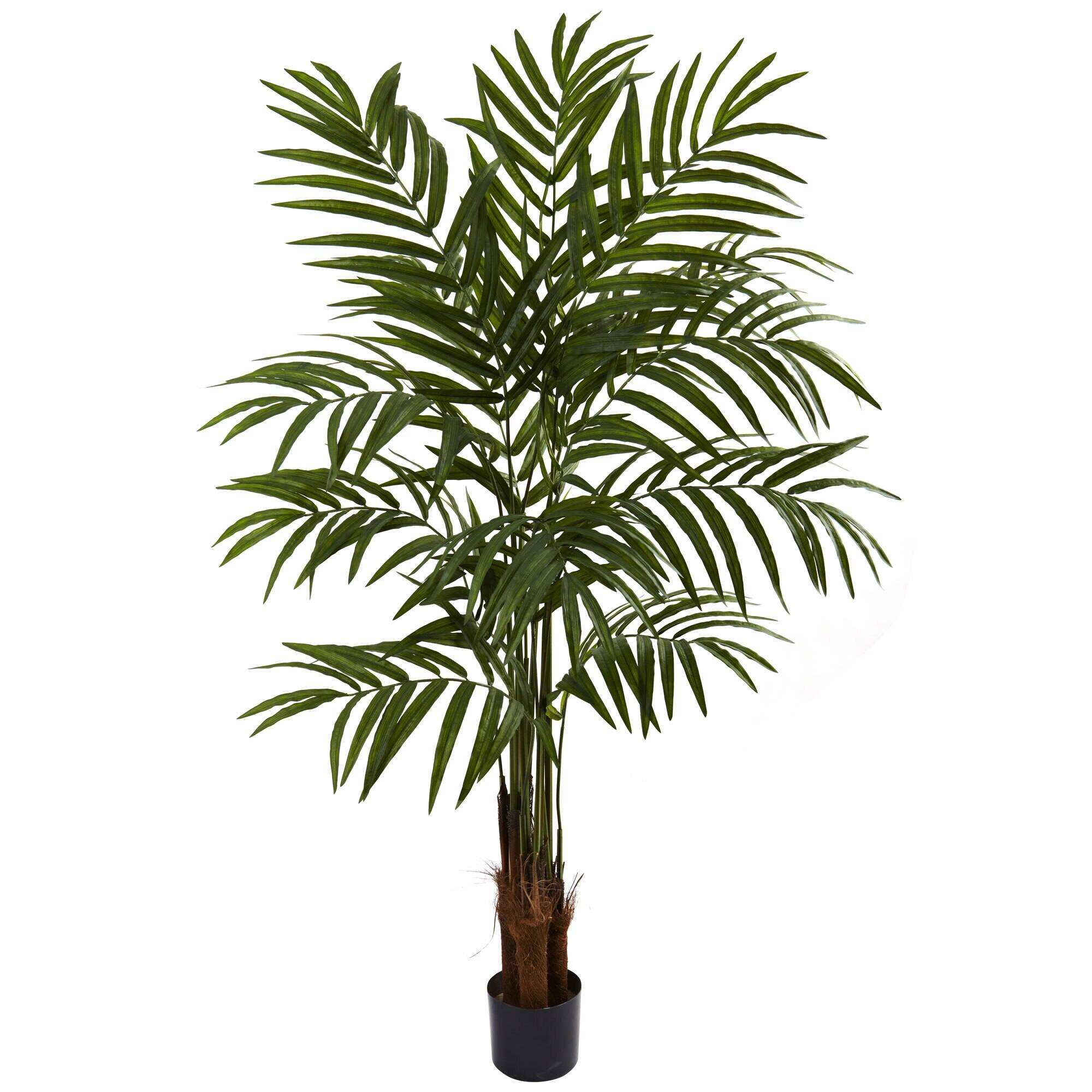 Front. BreeBe - 5' Big Palm Tree x 3 w/270 Lvs - Green.