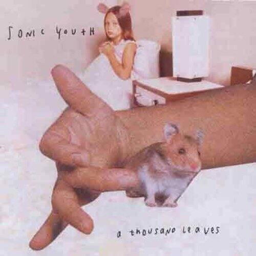 Sonic Youth  
a thousand leaves