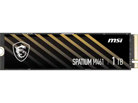 msi SPATIUM M461 | 1 TB