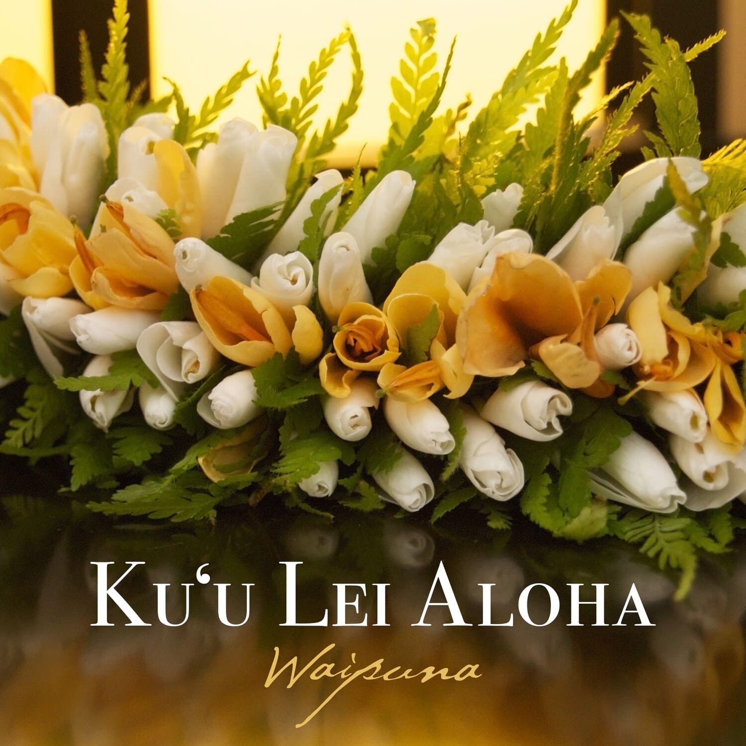 Waipuna - Ku'u Lei Aloha   - COMPACT DISCS [CD] price history on PriceWatchPro