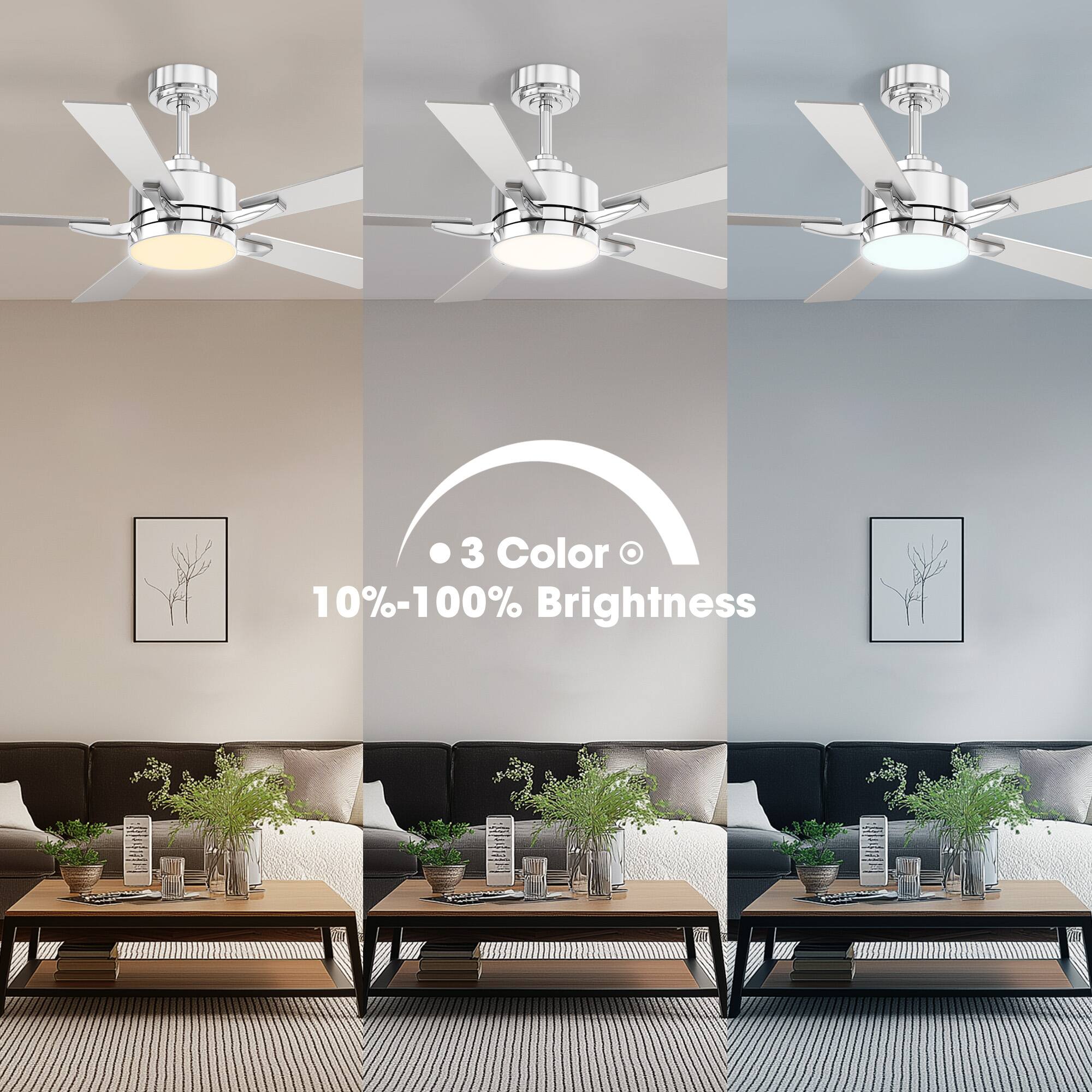 3 Color  
10%-100% Brightness