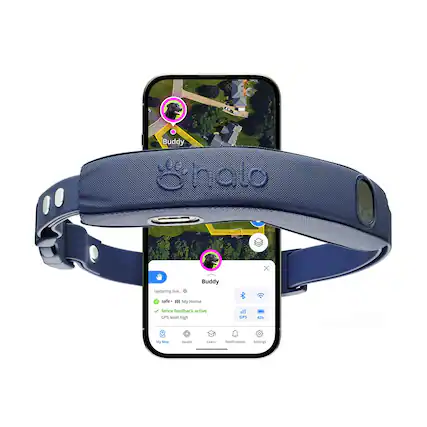 Buddy
updating live...
safe
My Home
fence feedback active
GPS level high
GPS 43%
My Mag Health
Notifications
Settings
My Map
Health
Learn