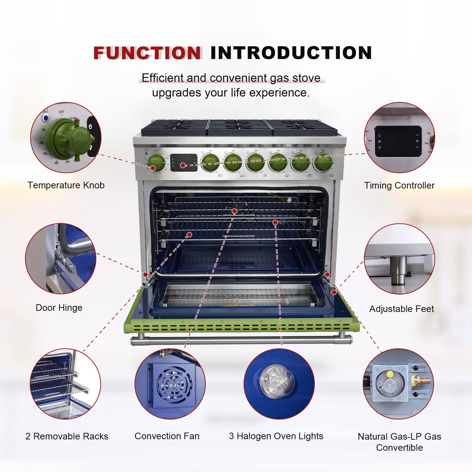 FUNCTION INTRODUCTION  
Efficient and convenient gas stove upgrades your life experience.

- Temperature Knob
- Timing Controller
- Door Hinge
- Adjustable Feet
- 2 Removable Racks
- Convection Fan
- 3 Halogen Oven Lights
- Natural Gas-LP Gas Convertible