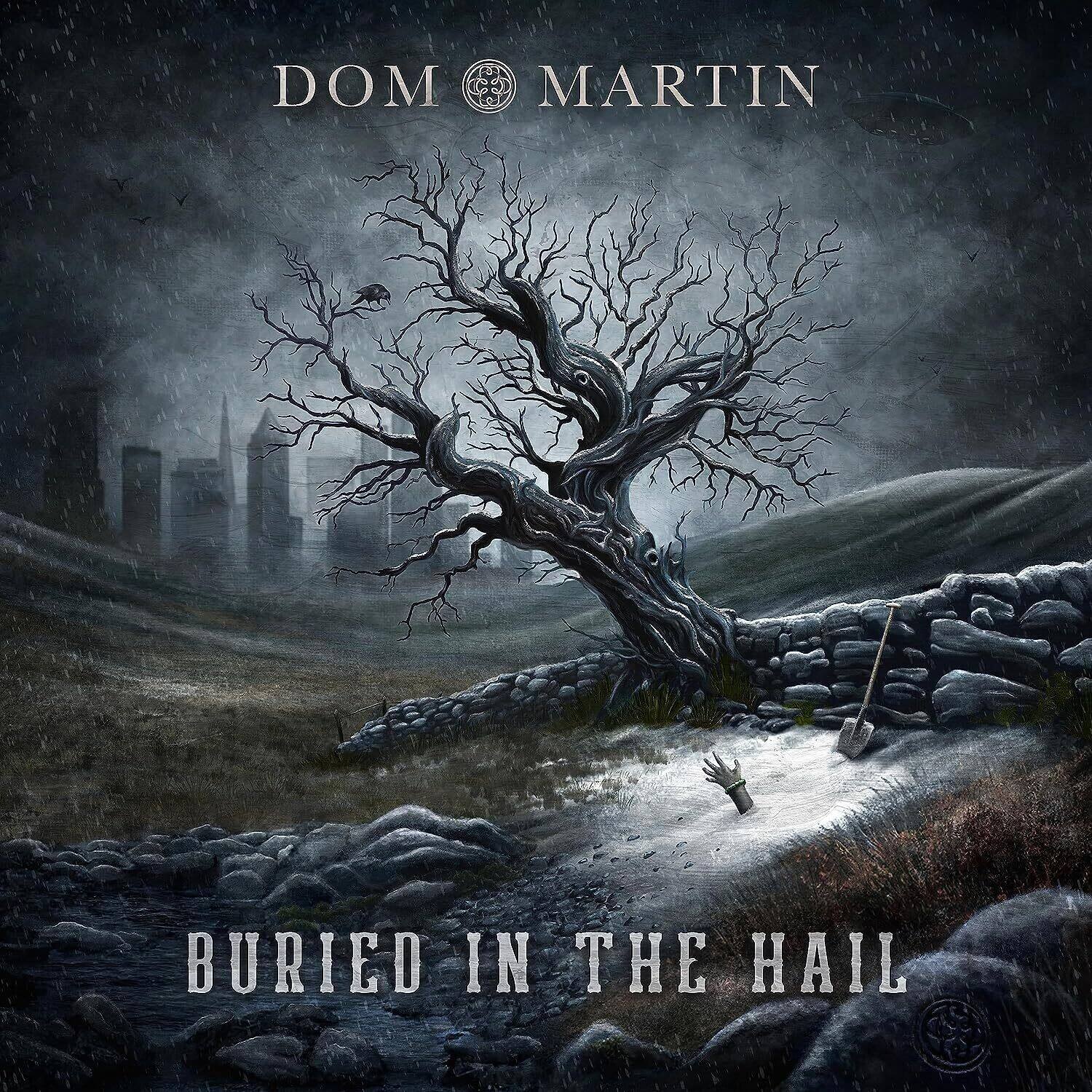 Dom Martin - Buried In The Hail   - COMPACT DISCS [CD] price history on PriceWatchPro