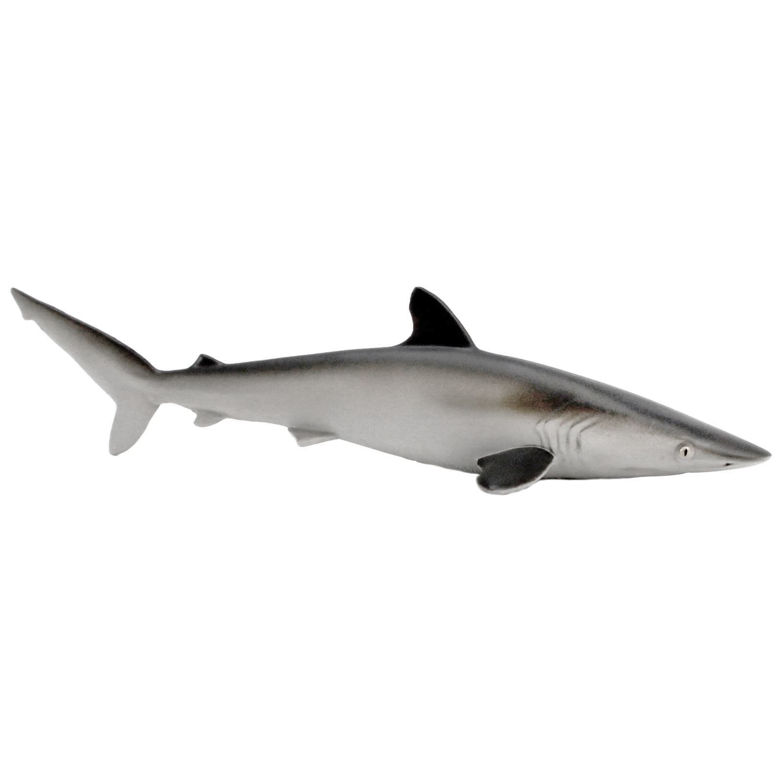 Safari Ltd. - Silky Shark Toy Figurine