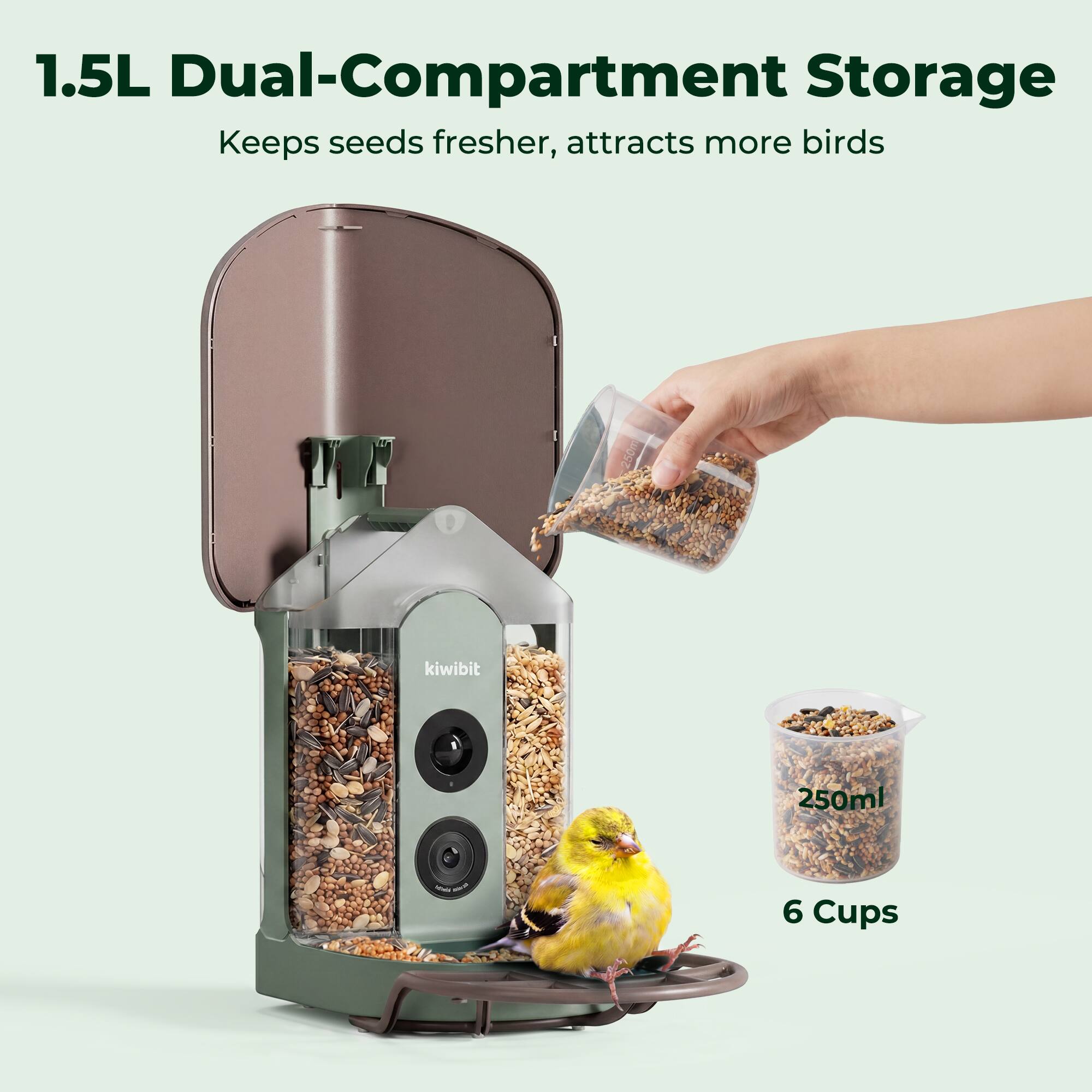 1.5L Dual-Compartment Storage  
Keeps seeds fresher, attracts more birds  
250ml - 6 Cups