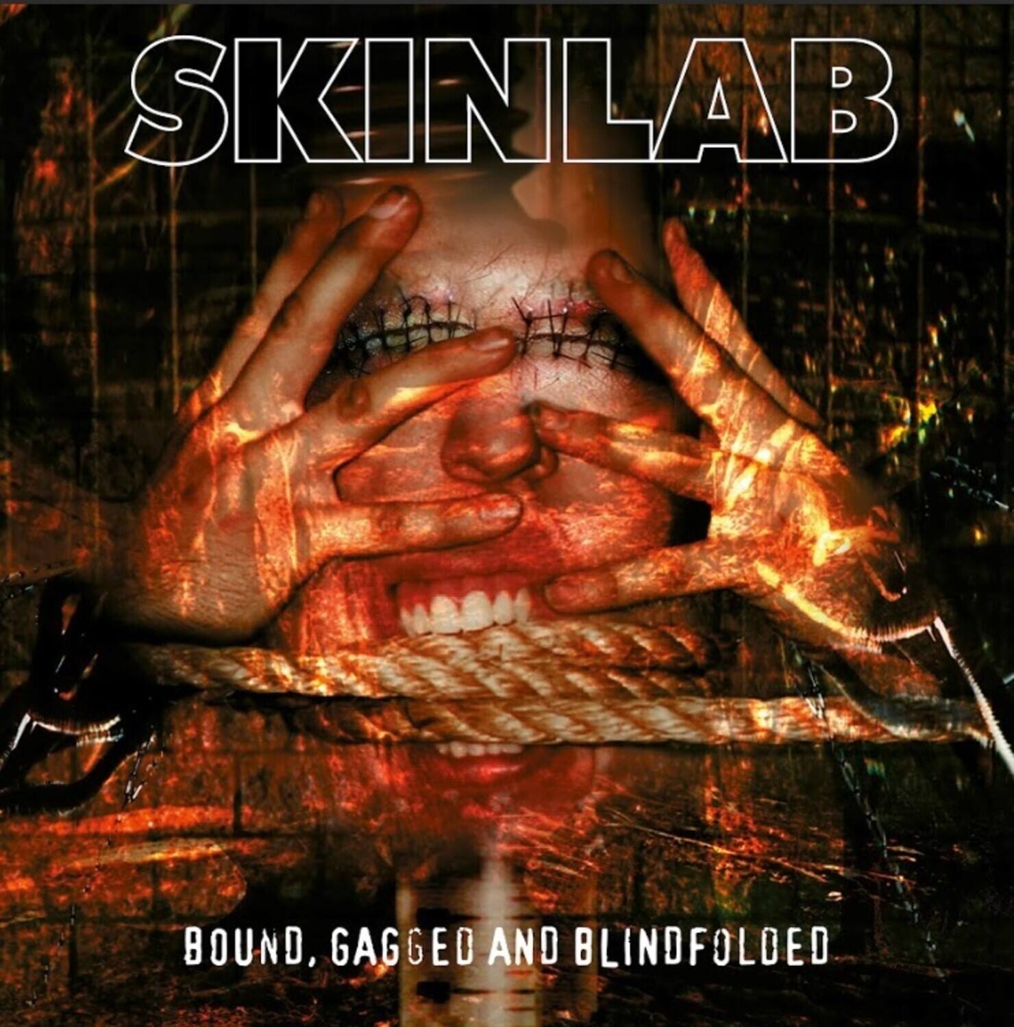 Skinlab - Bound Gagged And Blindfolded   - VINYL LP price history on PriceWatchPro