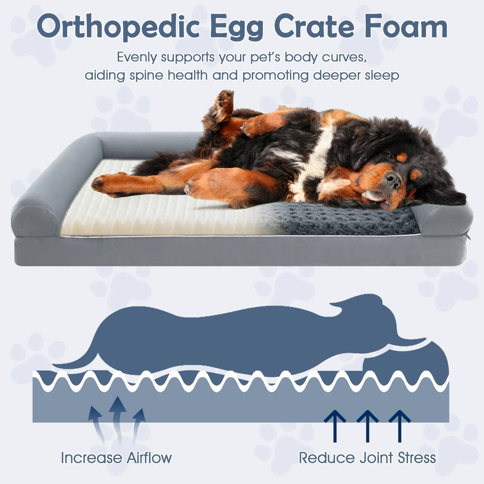 Orthopedic Egg Crate Foam

Evenly supports your pet's body curves, aiding spine health and promoting deeper sleep

Increase Airflow

Reduce Joint Stress