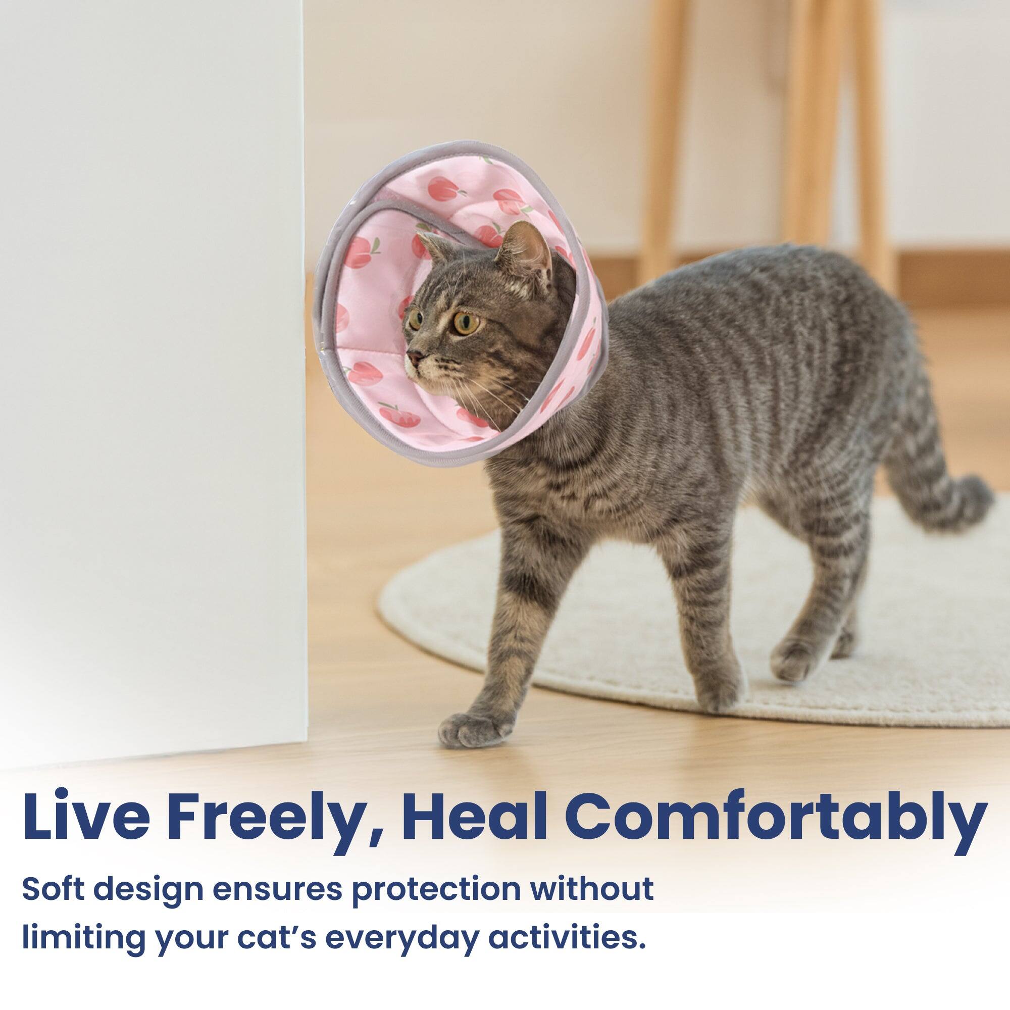 Live Freely, Heal Comfortably  
Soft design ensures protection without limiting your cat's everyday activities.