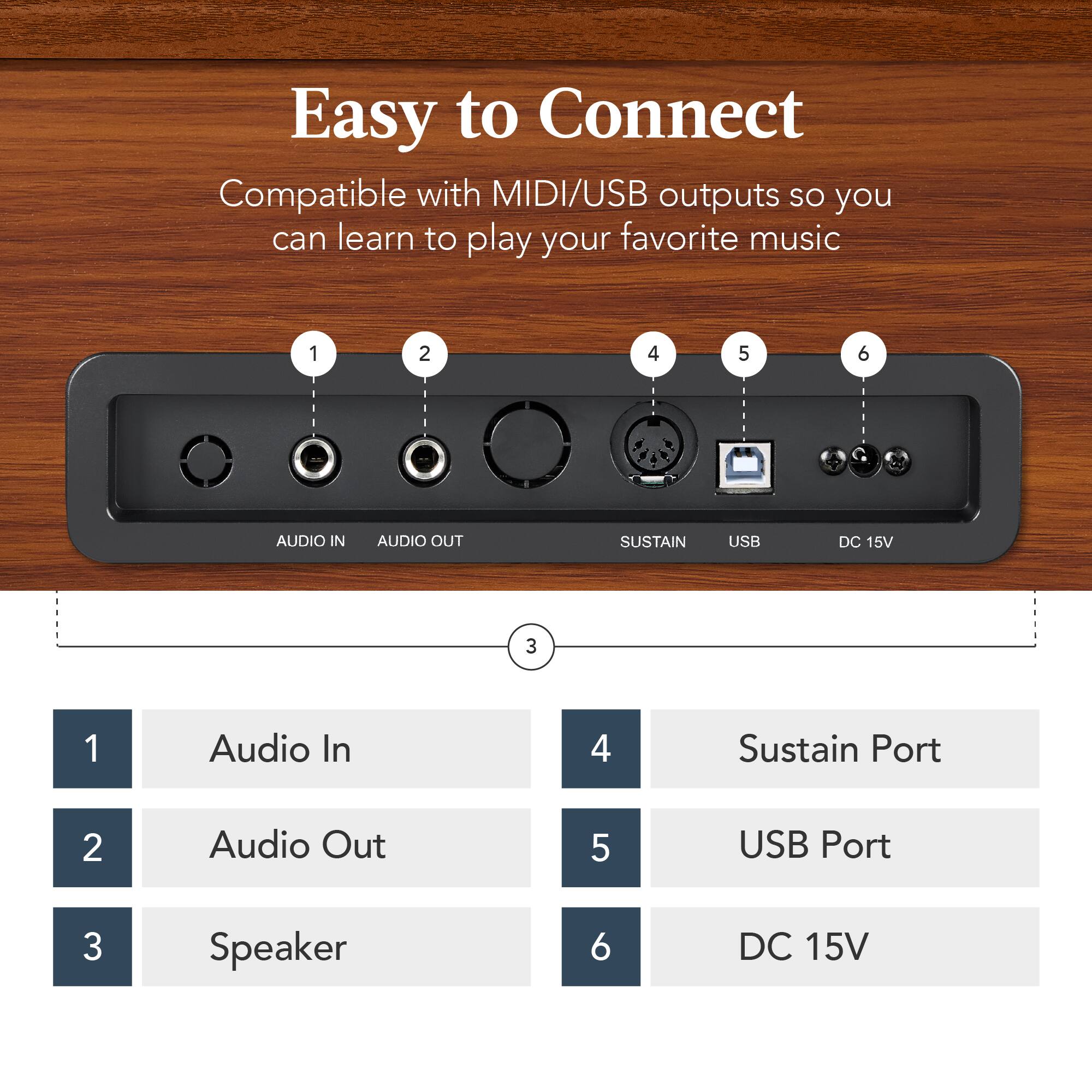 Easy to Connect

Compatible with MIDI/USB outputs so you can learn to play your favorite music

1. Audio In
2. Audio Out
3. Speaker
4. Sustain Port
5. USB Port
6. DC 15V