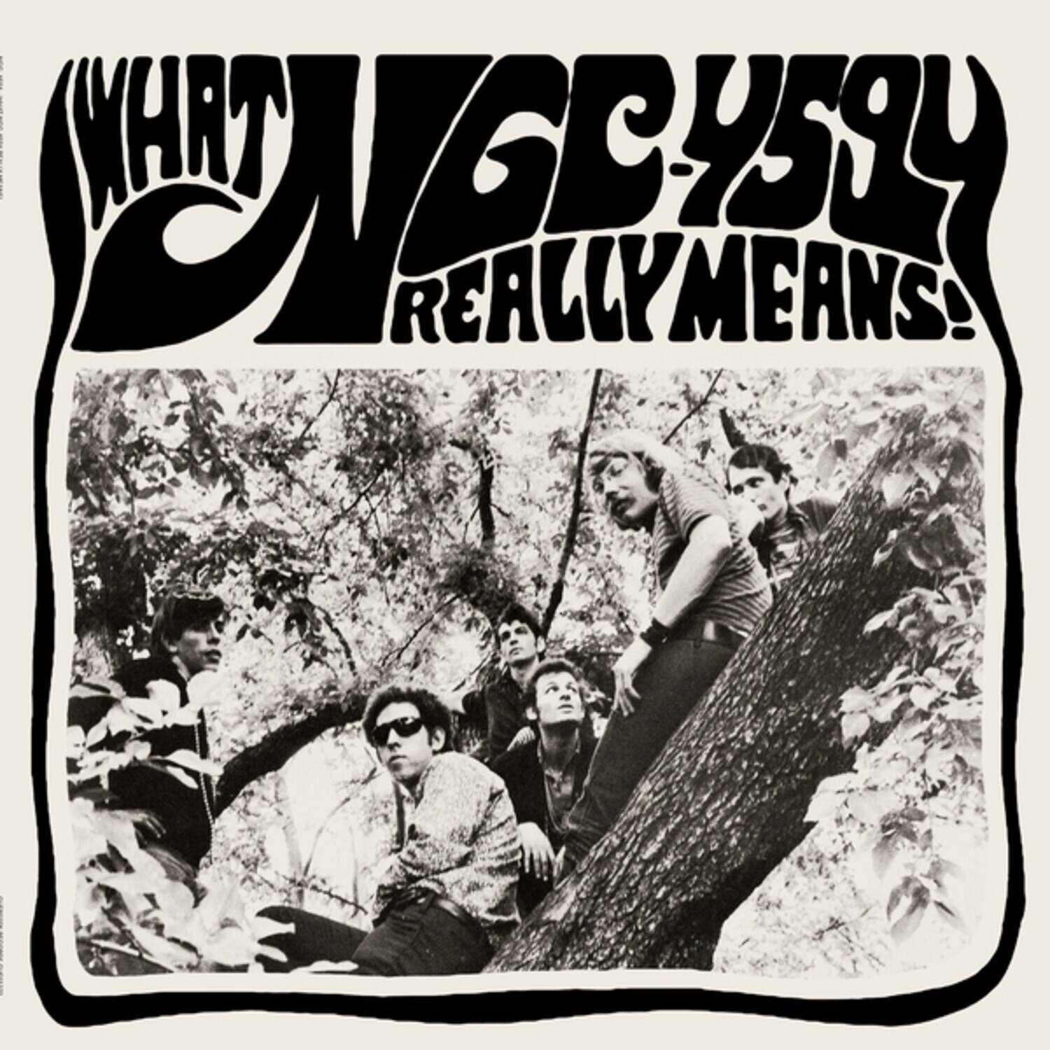 What N6C-7594 Really Means!