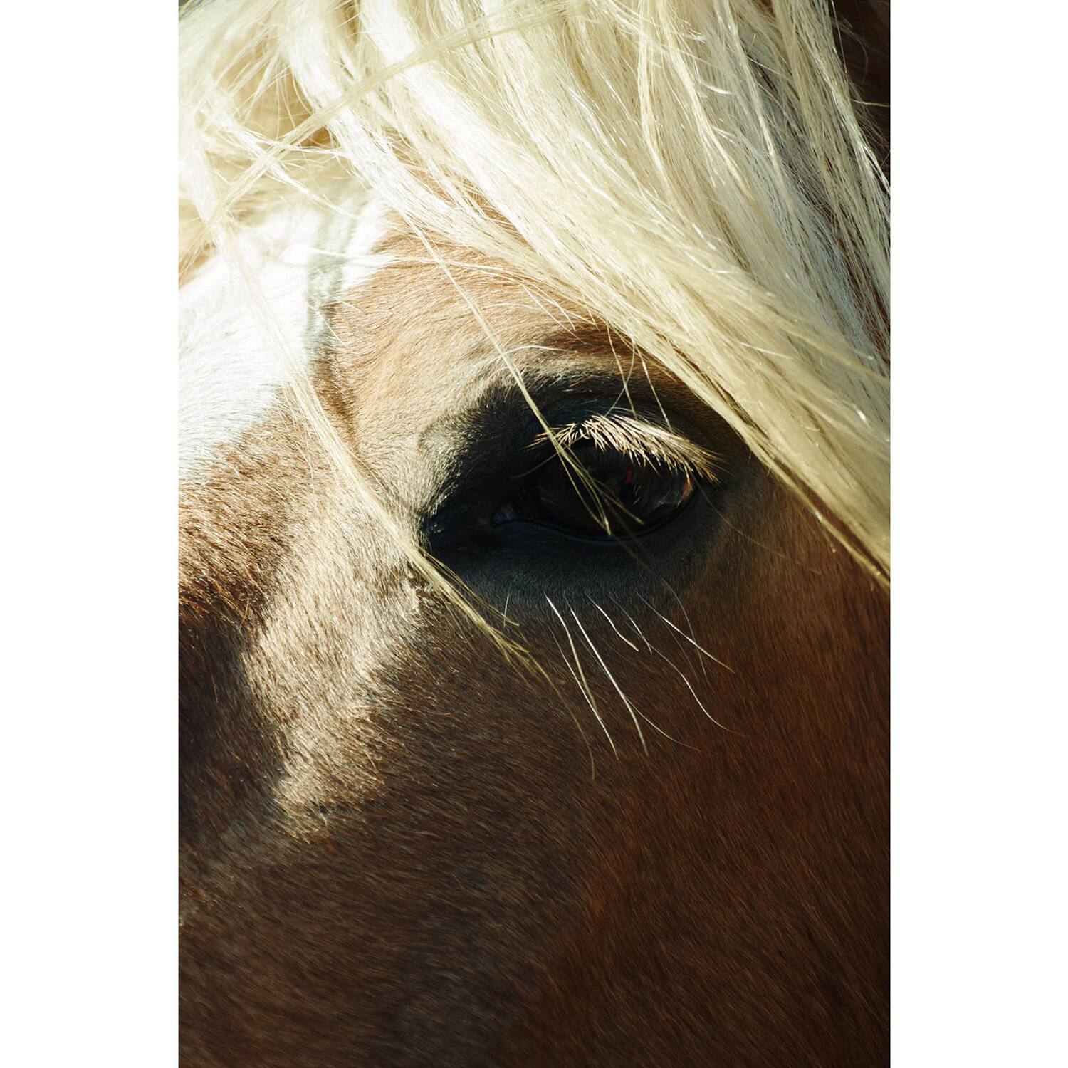 Alt View 6. Sigma - Sigma 16-300mm F3.5 - 6.7 DC OS Contemporary Lens (Canon RF Mount).