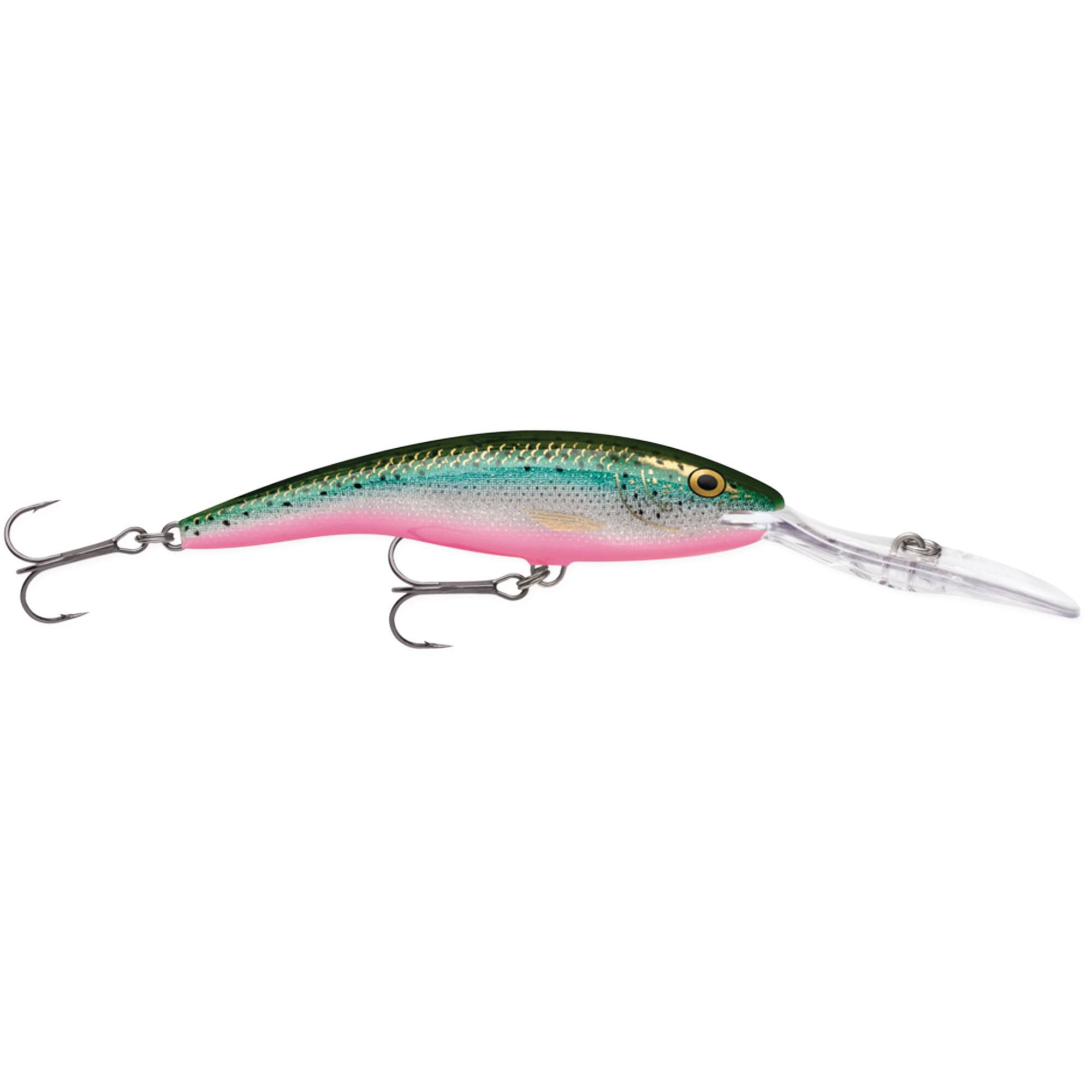 Rainbow Trout Flash