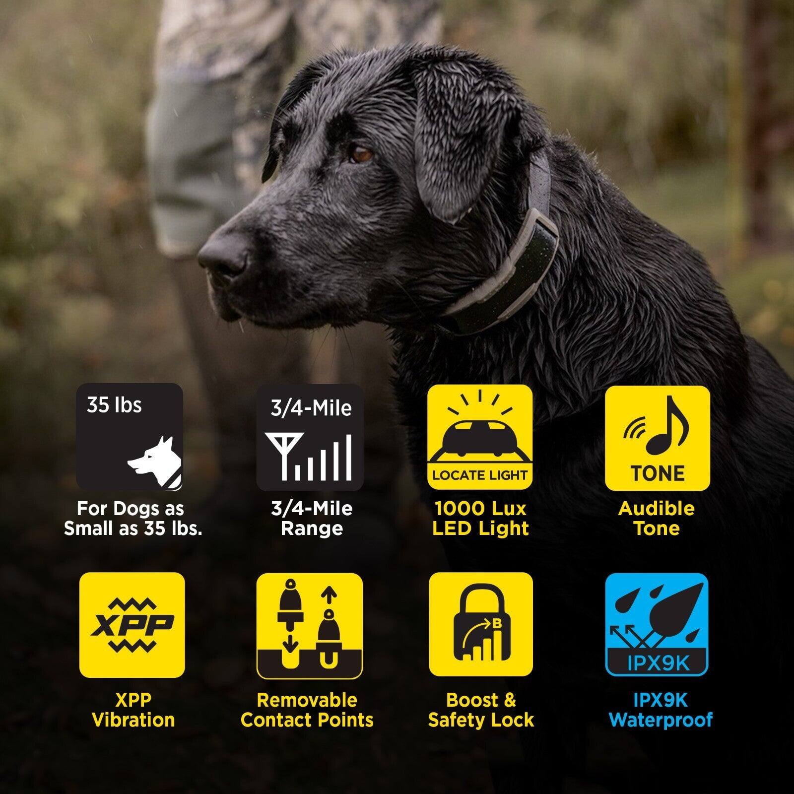 35 lbs  
For Dogs as Small as 35 lbs.  
3/4-Mile Range  
LOCATE LIGHT 1000 Lux LED Light  
TONE Audible Tone  
XPP Vibration  
Removable Contact Points  
Boost & Safety Lock  
IPX9K Waterproof