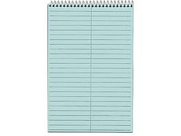 TOPS - Prism Steno Pads, 6" x 9", Gregg, 80 Sheets/Pad, 4 Pads/Pack - Blue