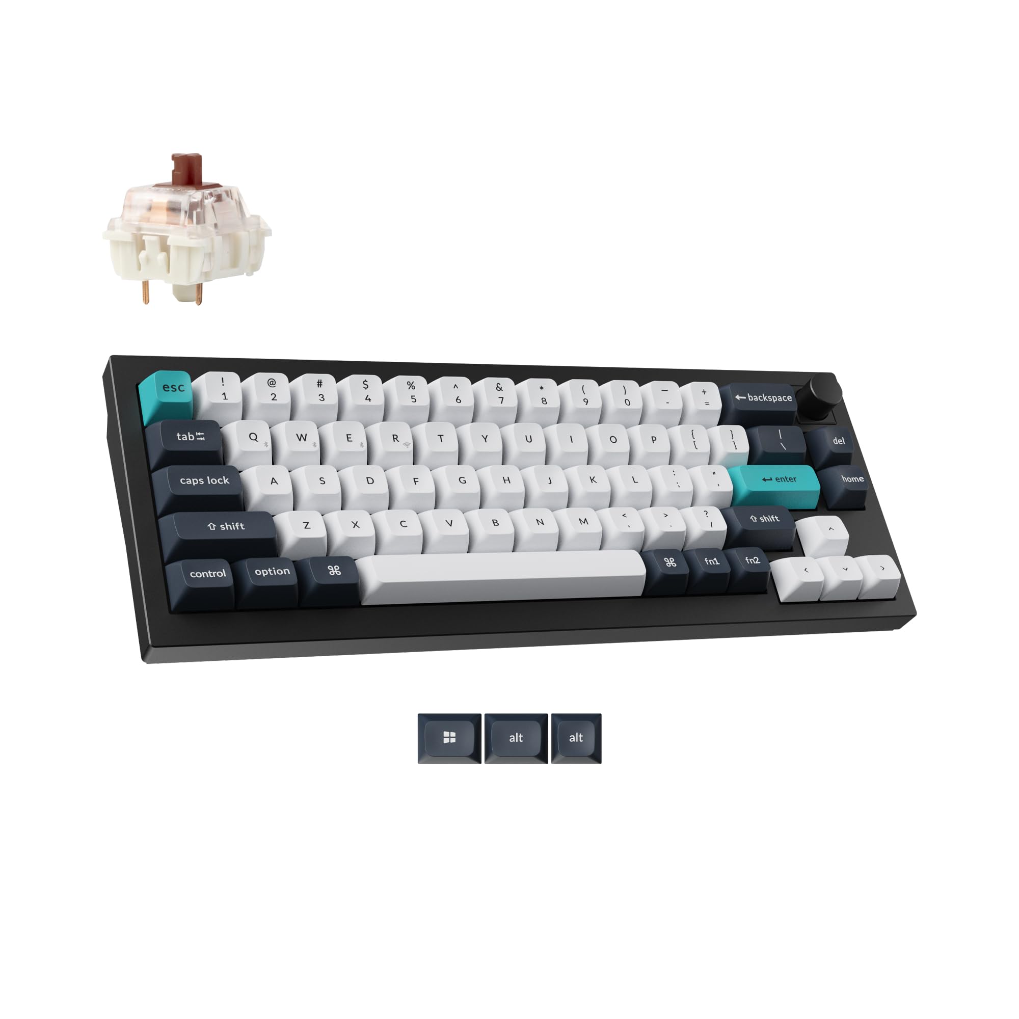 Gateron Jupiter Brown Switch-Black