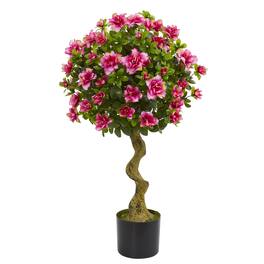 BreeBe - 3' Azalea Topiary Tree - Green