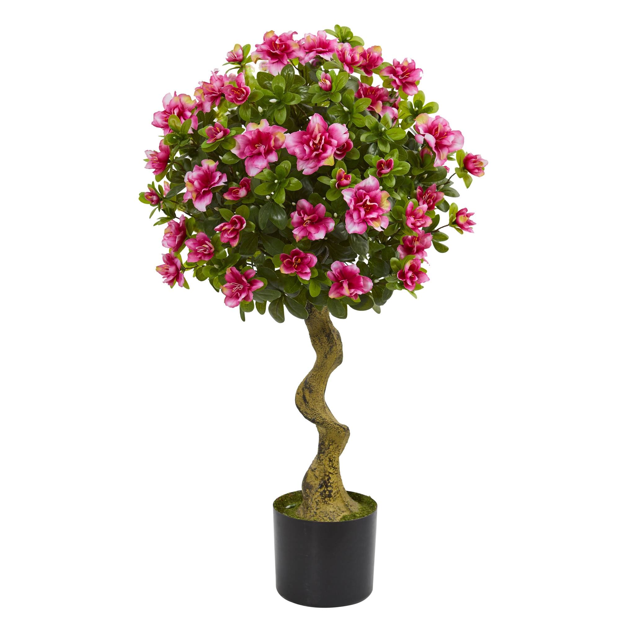 Front. BreeBe - 3' Azalea Topiary Tree - Green.
