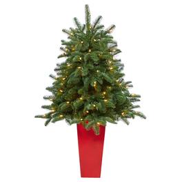 BreeBe - 3.5' South Carolina Spruce Xmas Tree in Red Planter - Green