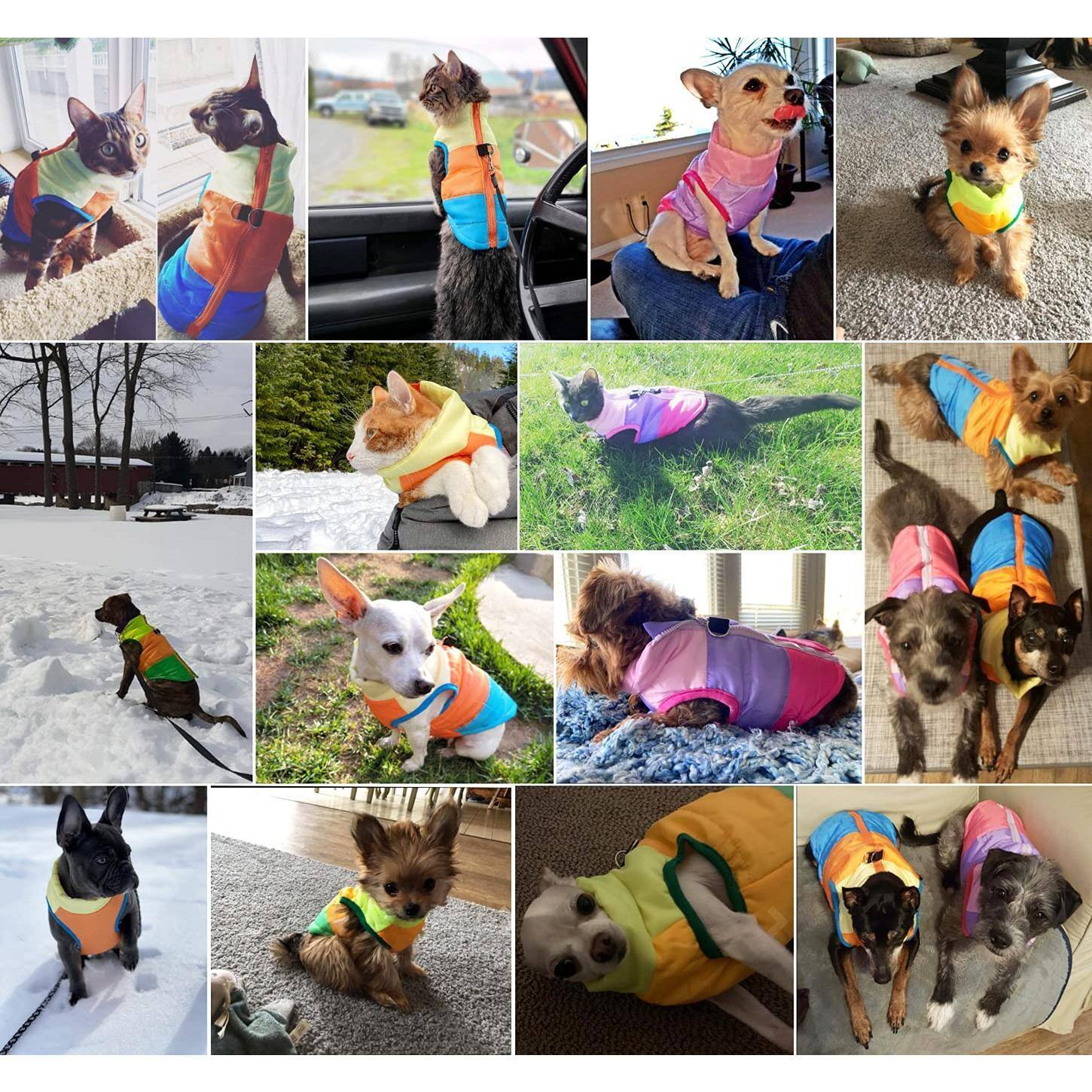 Alt View 2. Paradigms Interiors - Pet Dog Cat Coat With Leash Anchor Color Patchwork Padded Puppy Vest Jacket Teddy Chihuahua Costumes Pug - Yellow-XL(Chest-19.5",Neck-13").