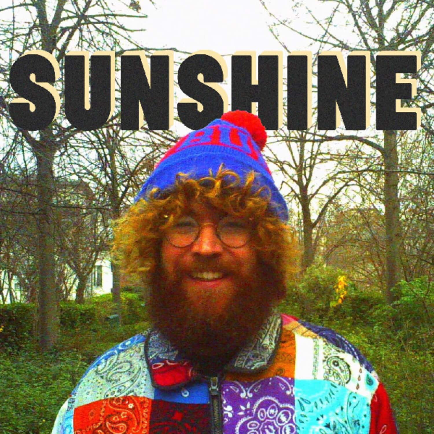 Jw Francis - Sunshine  - VINYL LP
