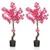 Front. Costway - Costway 2 Pack 42" Artificial Plum Blossom Tree with 92 Flowers & Realistic Trunk Indoor - Red.