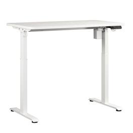 TinyHomie - Sit Stand Desk finish - White