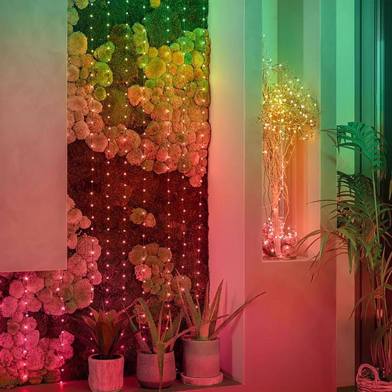 Left. Twinkly - Twinkly Twinkly Candies LED RGB 200 ct String Light String 9.8 ft..