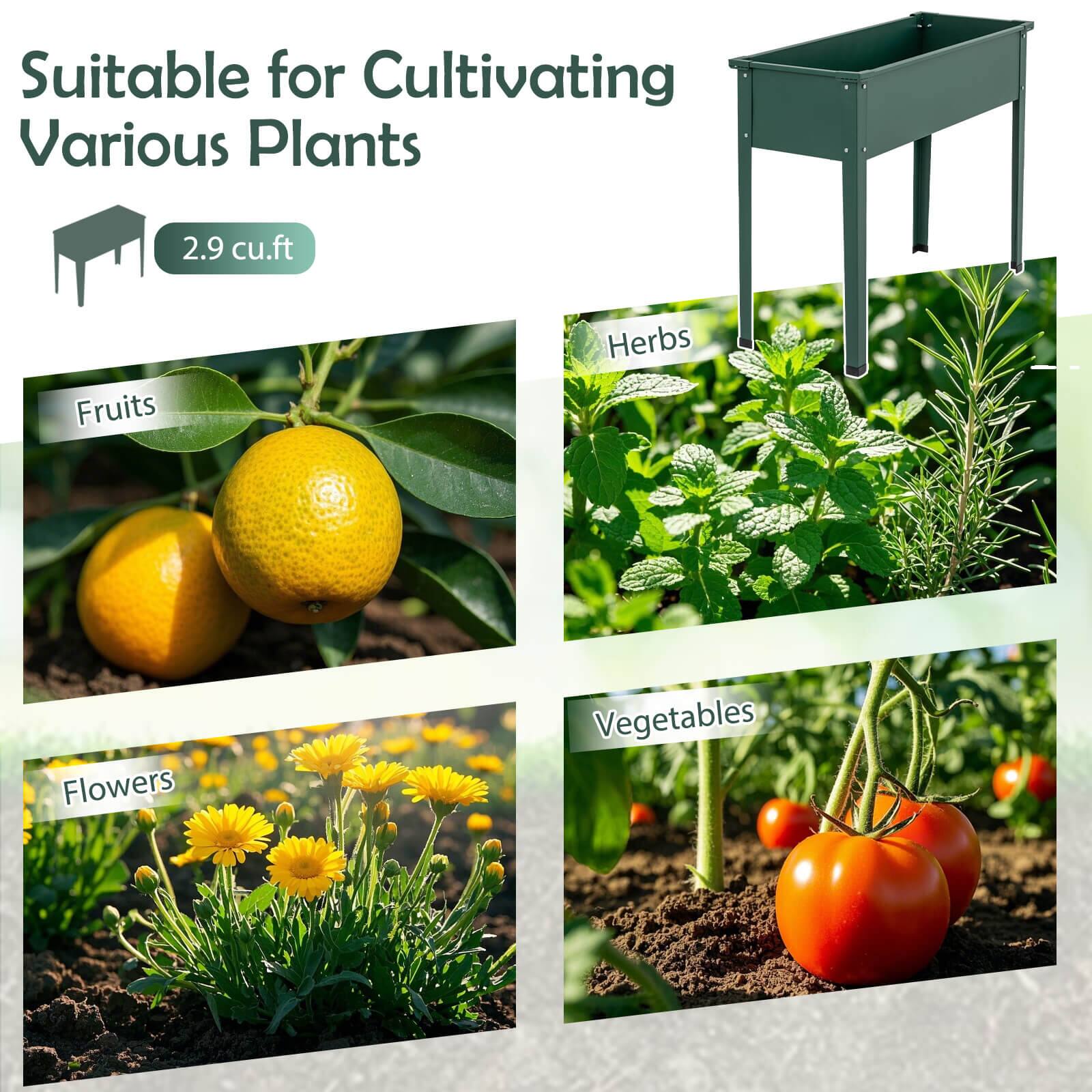 Suitable for Cultivating Various Plants  
2.9 cu.ft  

- Fruits  
- Herbs  
- Flowers  
- Vegetables