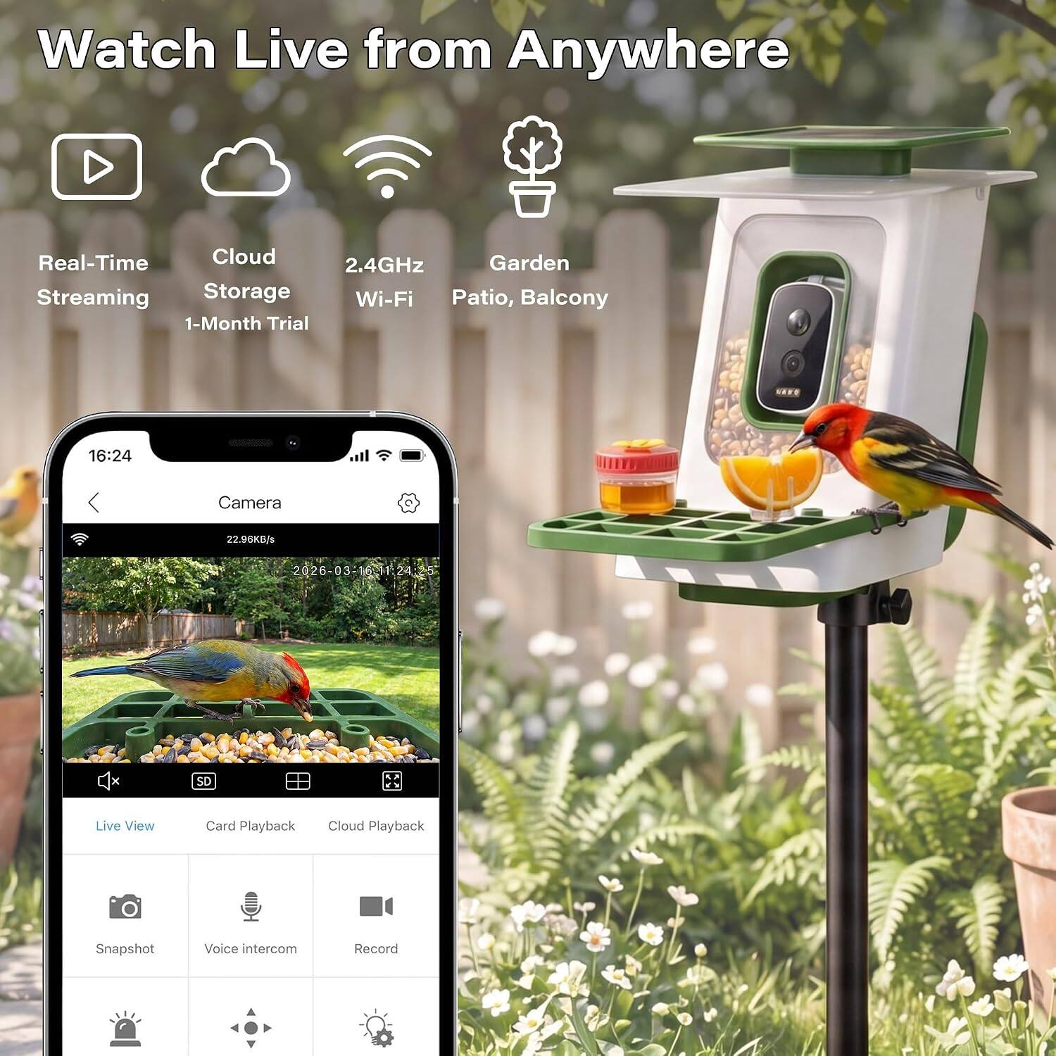 Watch Live from Anywhere

Real-Time Streaming
Cloud Storage 1-Month Trial
2.4GHz Wi-Fi
Garden Patio, Balcony

16:24 Camera
22.96KB/s
2026-03-21 11:24

Live View
Card Playback
Cloud Playback
Snapshot
Voice intercom
Record