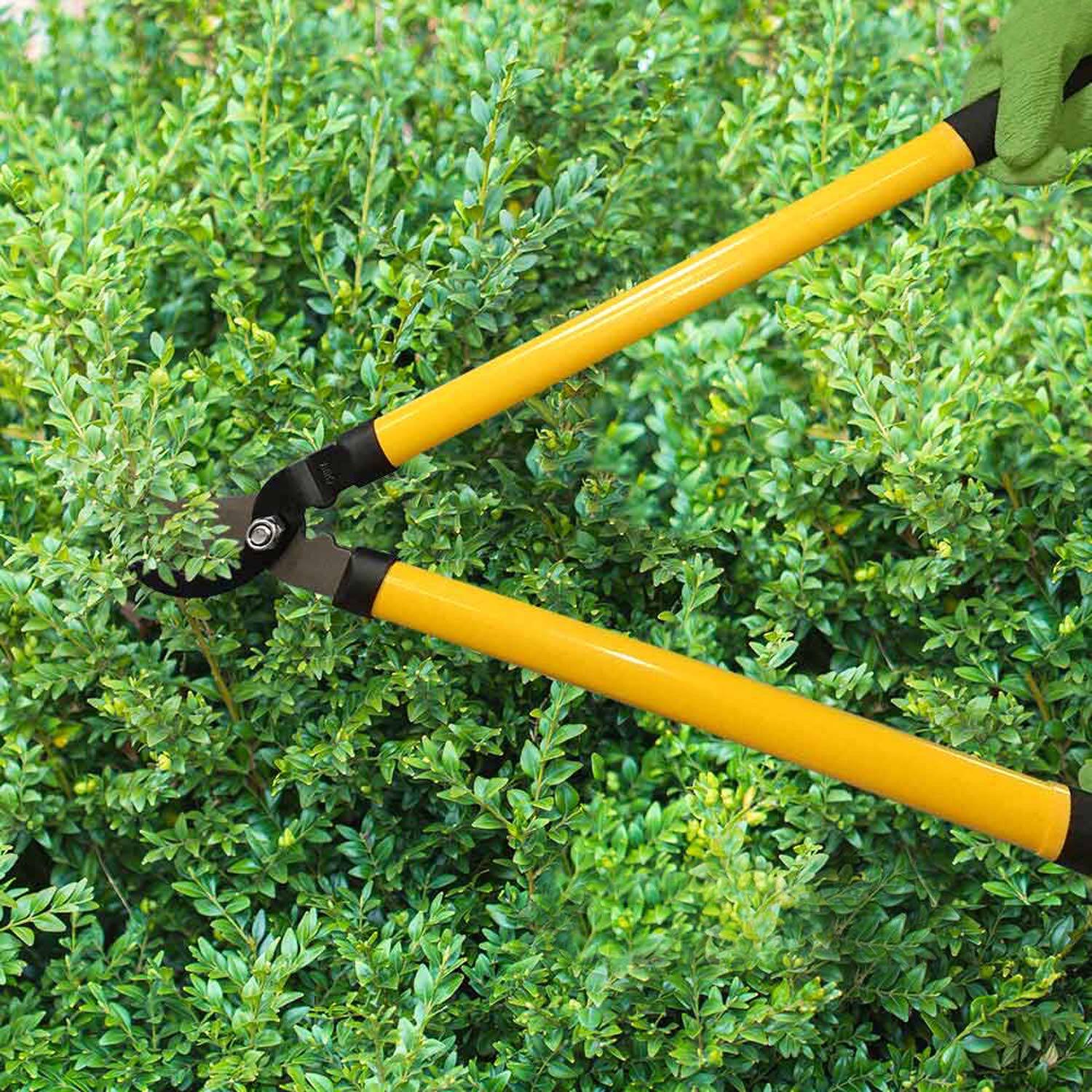 Alt View 2. JETRANSPORT - 1222 3-piece Lopper  Hedge Shear & Pruner Combo Set Heavy Duty Tree Shrub Bush Care Kit For Lawn Garden Yard I - Default.