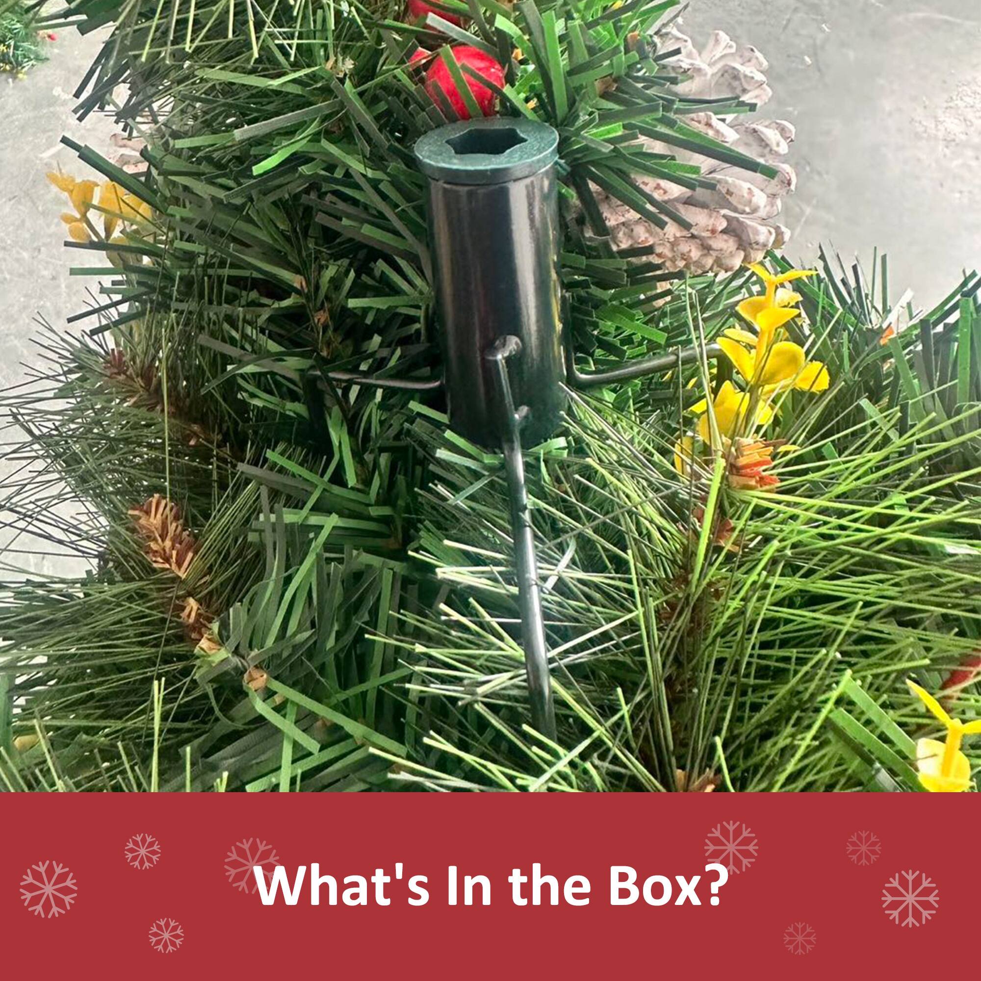 The text in the image is: "What's In the Box?"