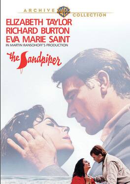 Sandpiper, The - DVD