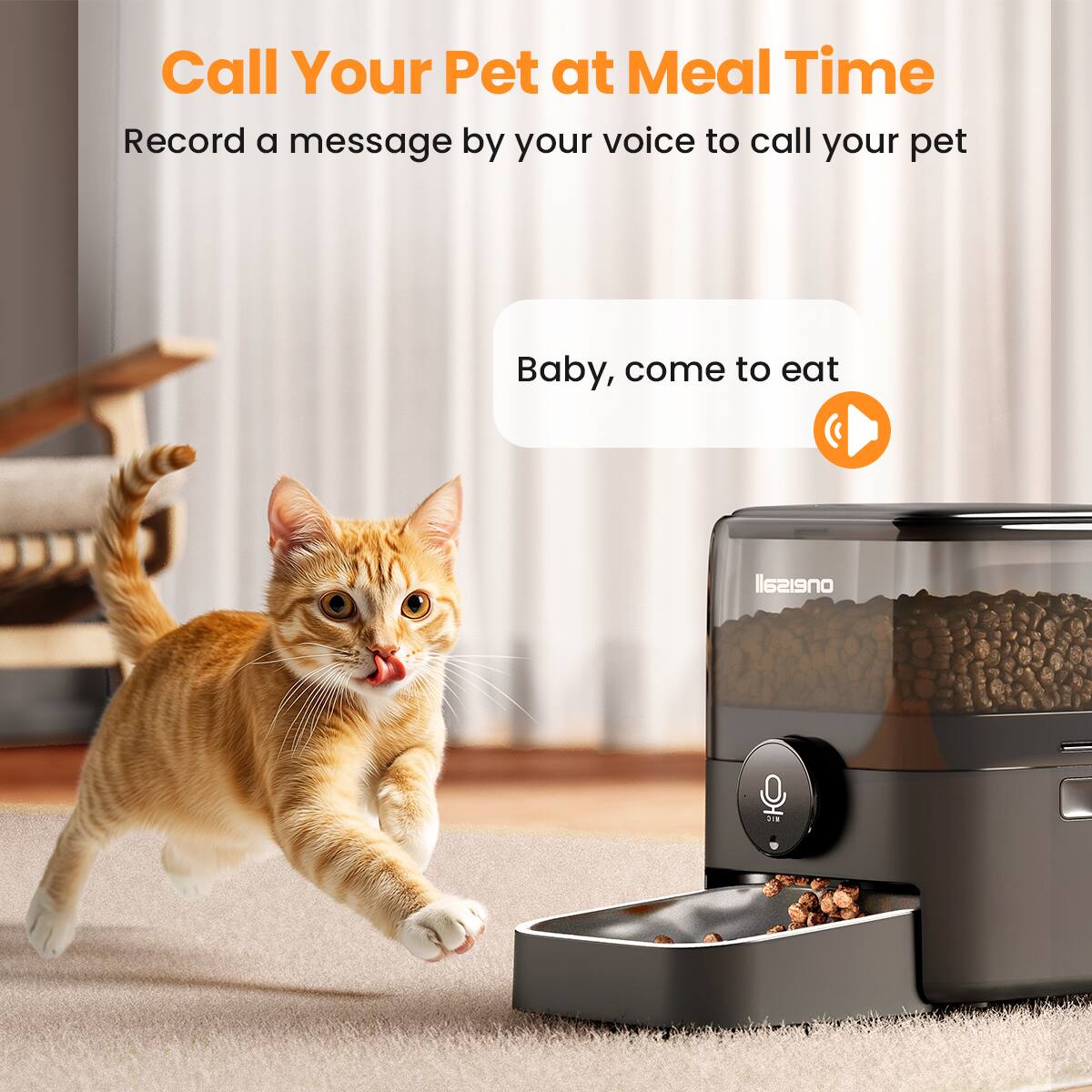 Call Your Pet at Meal Time
Record a message by your voice to call your pet
Baby, come to eat