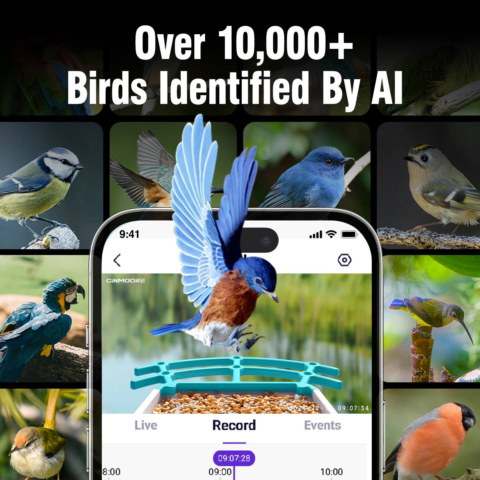Over 10,000+ Birds Identified By AI

9:41 CINMOORE 20-2402 22-2 - 09:07:34

Live Record Events

8:00 09.07:28 09:00 10:00