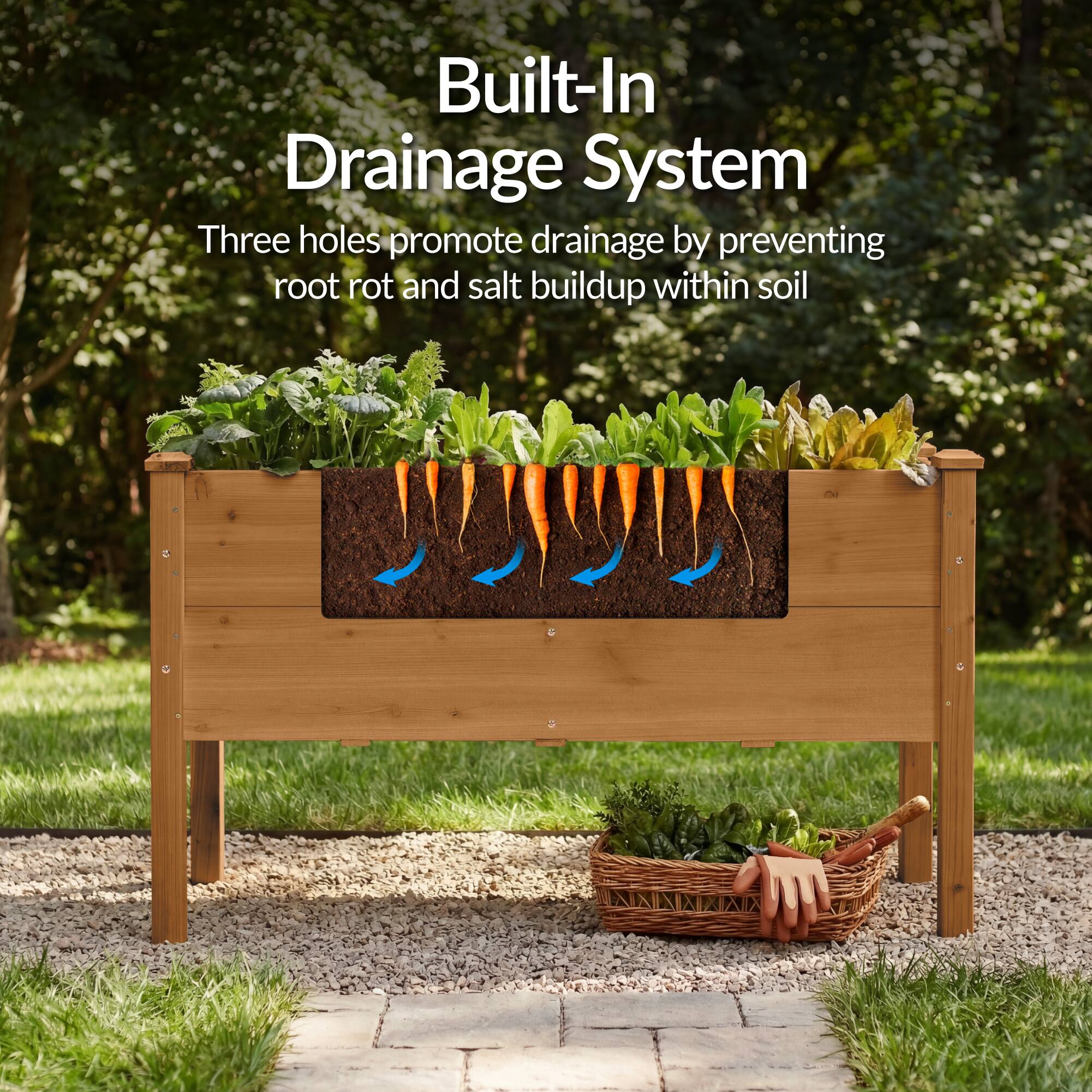 Built-In Drainage System  
Three holes promote drainage by preventing root rot and salt buildup within soil