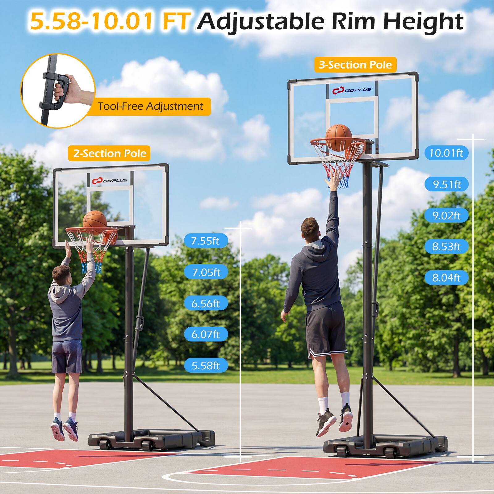 5.58-10.01 FT Adjustable Rim Height  
3-Section Pole  
Tool-Free Adjustment  
2-Section Pole  

10.01ft  
9.51ft  
9.02ft  
8.53ft  
8.04ft  
7.55ft  
7.05ft  
6.56ft  
6.07ft  
5.58ft