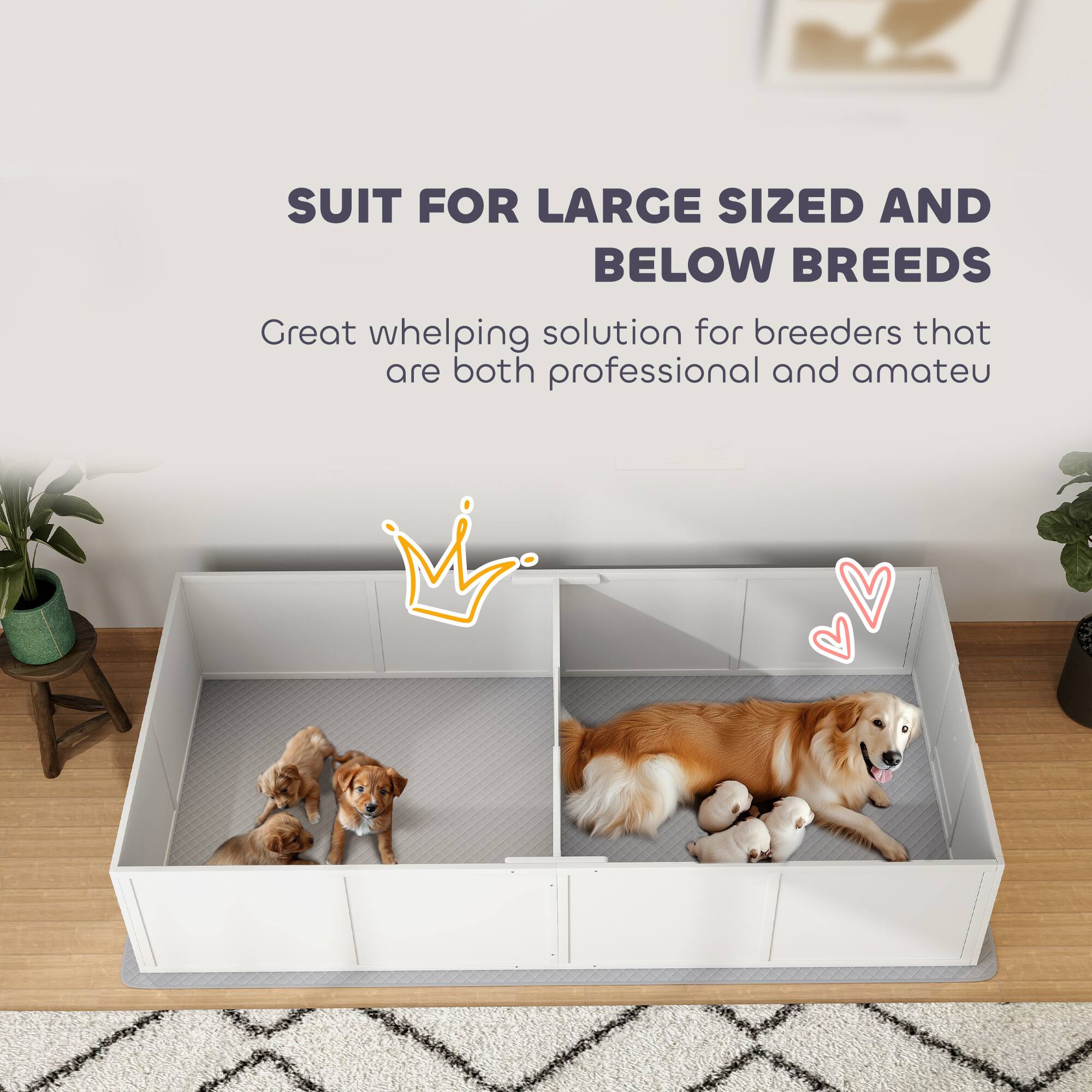 SUIT FOR LARGE SIZED AND BELOW BREEDS

Great whelping solution for breeders that are both professional and amateur