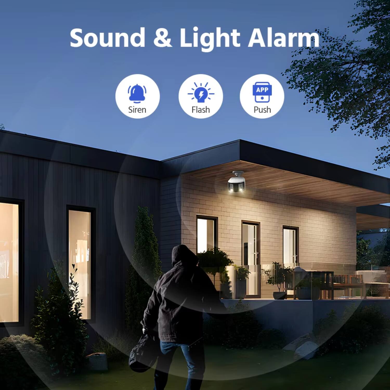 Sound & Light Alarm  
Siren  
Flash  
APP Push