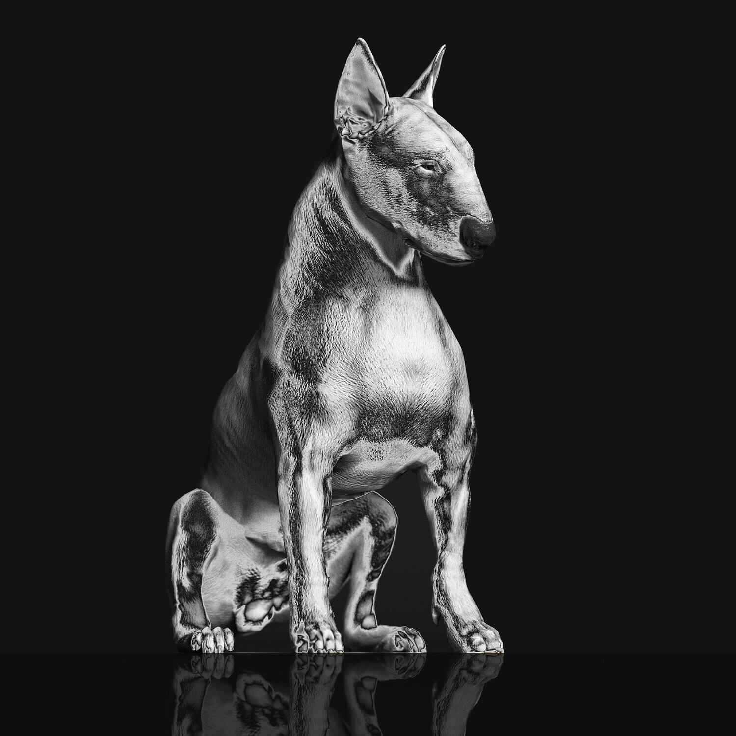 Front. Riskee & the Ridicule - Platinum Statue   - VINYL LP.