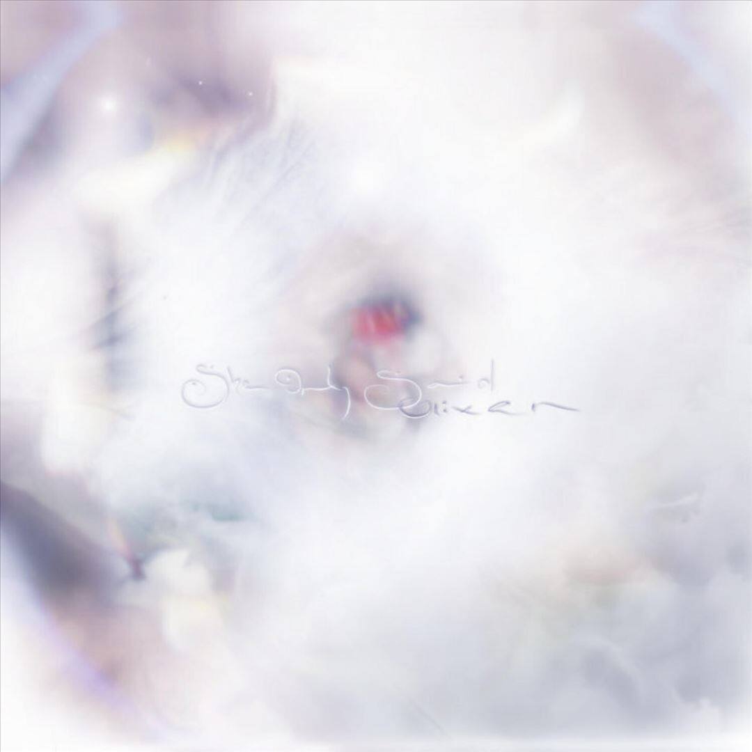 She Only Said [LP] [VINYL] price history on PriceWatchPro